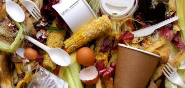 Comune e Milano Ristorazione: plastica eliminata da tutte le mense scolastiche