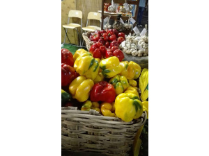 Peperone compostabile? Alla Sagra  di Carmagnola obbligo di stoviglia compostabile