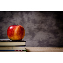 Immagine: Mense scolastiche: il dibattito in Consiglio comunale sul 'diritto al panino'