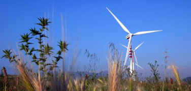 Ue, nel 2050 il 54% dell'elettricità arriverà dalle rinnovabili