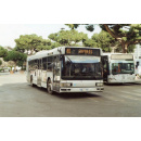 Immagine: Atac, Meleo: 