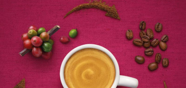 Ecco la capsula di caffè biologico, equosolidale e compostabile