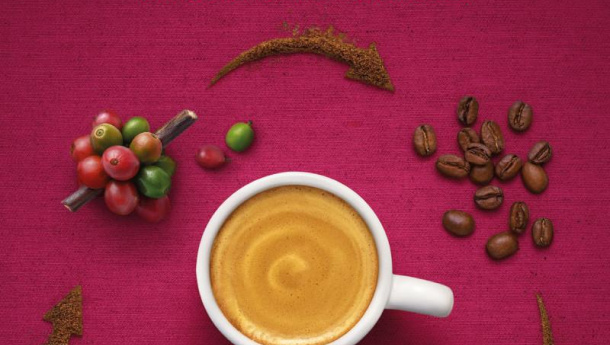 Immagine: Ecco la capsula di caffè biologico, equosolidale e compostabile