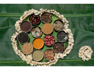 Programma e ospiti del Festival culturale