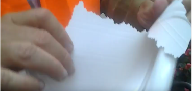 Giallo sul piatto di 'finta plastica' nella mensa di Terra Madre 2016 | Video