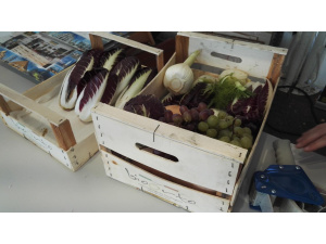 Bio-orto regala prodotti ortofrutticoli alle Sentinelle dei Rifiuti