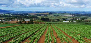Al via in Sardegna il progetto “Compost e Agricoltura”: in mostra il valore del compost