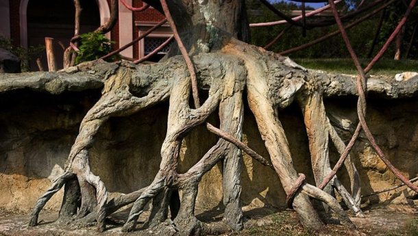 Immagine: I dati della conferenza Onu di Quito: le città più verdi risparmiano