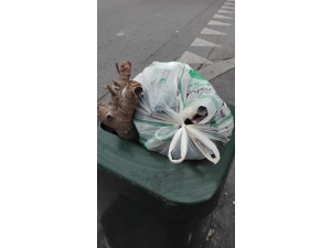 Cestini abusati a Milano: ecco come il rifiuto di casa finisce nei cestini pubblici in strada | GALLERY
