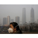 Immagine: Clima, Wwf: 