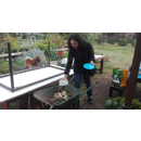 Immagine: Beatrice, un piccolo esempio di eco-cittadina a Milano