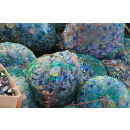 Immagine: Imballaggi al centro della SERR 2016: occhi puntati sulla plastica