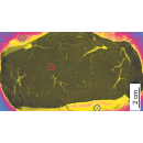 Immagine: Il cibo è ancora buono? Una app ci aiuterà a capirlo