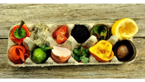 Immagine: Nuove Formichine Salvacibo* contro lo spreco alimentare