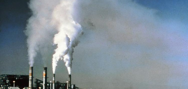 Cop22 a  Marrakech, Greenpeace: