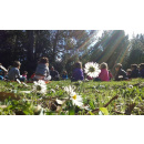 Immagine: Al Parco della Cellulosa inizia per il terzo anno la Scuola nel Bosco