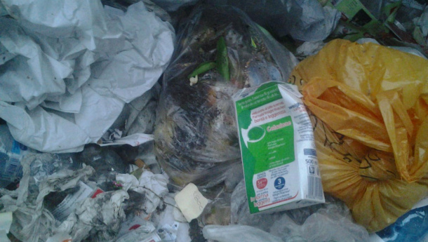 Immagine: Perché i rifiuti non calano più?