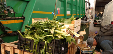 Mercati a Torino: al via il progetto di miglioramento della raccolta organico a Porta Palazzo | Video