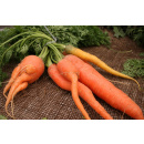 Immagine: La brutta verità sullo spreco di cibo a Singapore