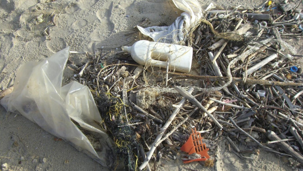 Immagine: Dalla COP22 un appello internazionale per lo stop alle buste di plastica nel bacino del Mediterraneo