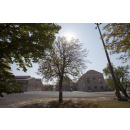 Immagine: Nel 2015 cresce l'industria delle bioplastiche in Italia