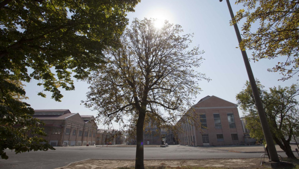 Immagine: Nel 2015 cresce l'industria delle bioplastiche in Italia