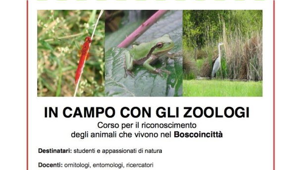 Immagine: Boscoincittà di Milano: un corso per riconoscere gli animali del parco