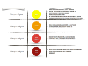 Torino. Ecco tutte le limitazioni al traffico per fermare lo smog
