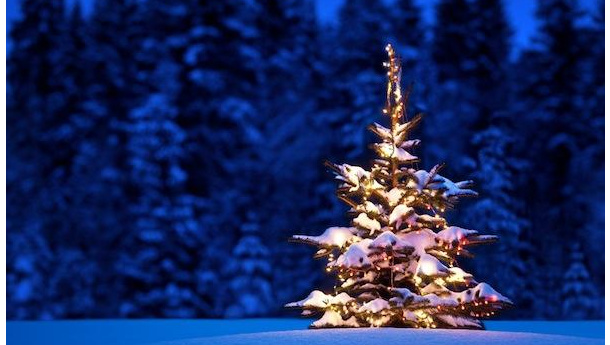 Immagine: Il 'dec-albero' di Wwf : dagli addobbi al cenone per un Natale sostenibile
