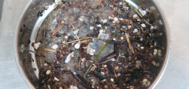 La zuppa di plastica del Mediterraneo