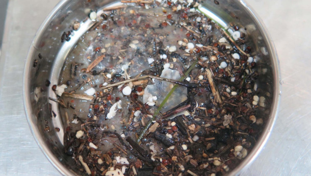 Immagine: La zuppa di plastica del Mediterraneo