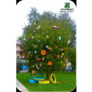 Immagine: A Cassano un ‘EcoNatale’ di solidarietà e rispetto ambientale con l’Albero del Riciclo