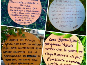 A Cassano un ‘EcoNatale’ di solidarietà e rispetto ambientale con l’Albero del Riciclo