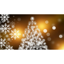 Immagine: Roma, navetta 