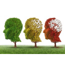 Immagine: Inquinamento, traffico e demenza sono correlati