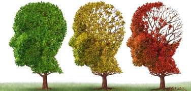 Inquinamento, traffico e demenza sono correlati