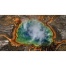 Immagine: “Aspettando la Giornata Mondiale della Terra”, rassegna cinematografica a Torino in vista del 22 aprile