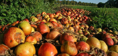 La Corte dei Conti Ue denuncia: la lotta a spreco alimentare è inefficace