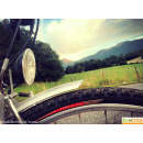 Immagine: Roma, Meleo: 