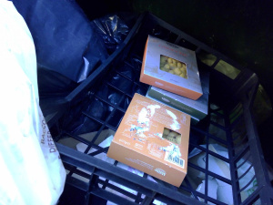 Una Sentinella all'Eataly di Torino: “Gli gnocchi di patata trovati nel cassonetto erano buonissimi”