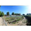 Immagine: 'Barriera in Transizione', cibo sano e autoprodotto in modo sostenibile per migliorare le condizioni sociali