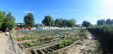 'Barriera in Transizione', cibo sano e autoprodotto in modo sostenibile per migliorare le condizioni sociali