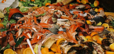 Res Urbis, il progetto della Sapienza per fare bioplastica dagli scarti organici