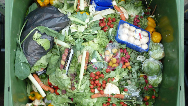 Immagine: Al via i 'Diari di Famiglia”, un test per quantificare scientificamente lo spreco alimentare domestico in Italia