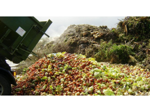 Al via i 'Diari di Famiglia”, un test per quantificare scientificamente lo spreco alimentare domestico in Italia