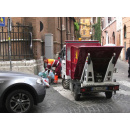 Immagine: Rifiuti di Roma, Montanari: incrementare la differenziata e promuovere l'autocompostaggio domestico