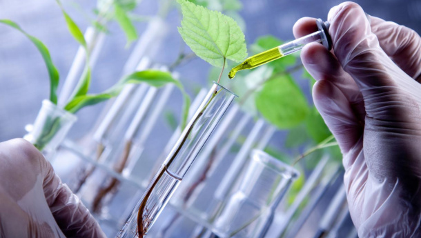 Immagine: Quale bioeconomia per il Piemonte? Se ne parla martedì 21 febbraio a Palazzo Lascaris