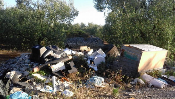 Immagine: Commissione d'inchiesta Ecoreati: 'distribuzione uniforme sul territorio ma frequenza più accentuata nelle Isole e Sud'