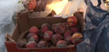 Lotta allo spreco di cibo, ecco l'impegno di Eco dalle Città