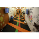 Immagine: Arriva in Puglia il Treno Verde: il 6 e il 7 marzo in sosta alla stazione centrale di Bari